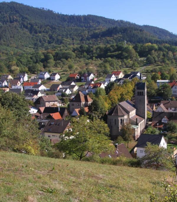 Das Foto zeigt den Blick von oben auf den Gaggenauer Ortsteil, Michelbach.