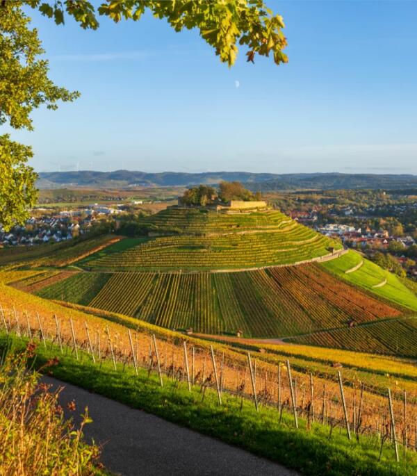 Foto mit Weinbergen im Landkreis Heilbronn